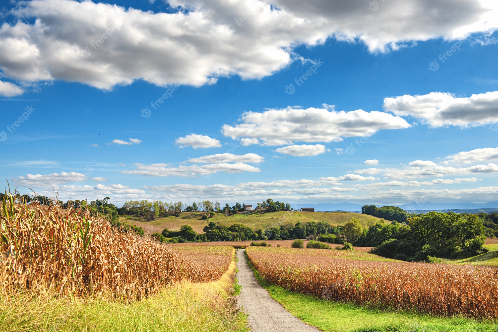 French Countryside Wallpapers