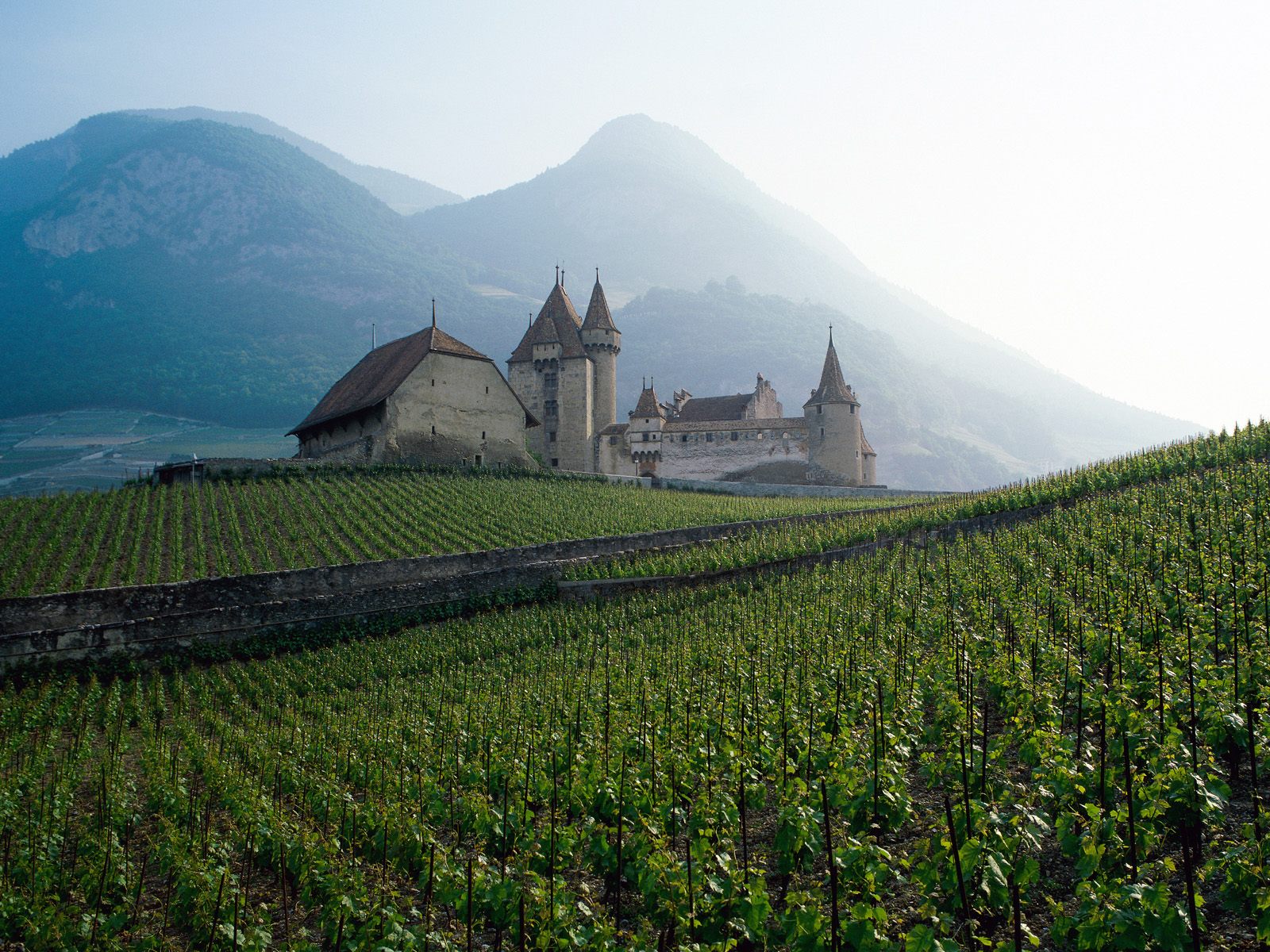 French Countryside Wallpapers