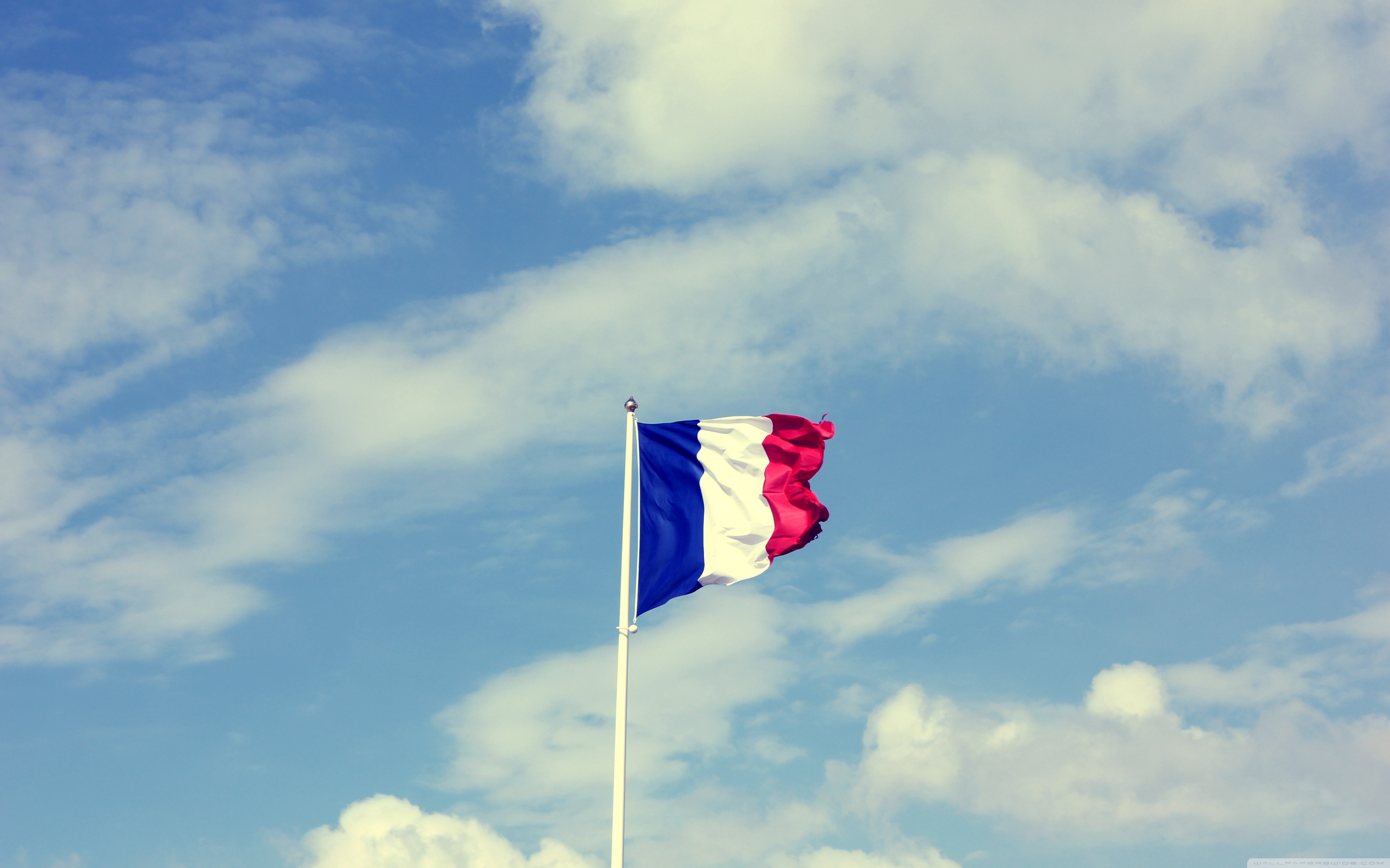 French Flag Iphone Wallpapers