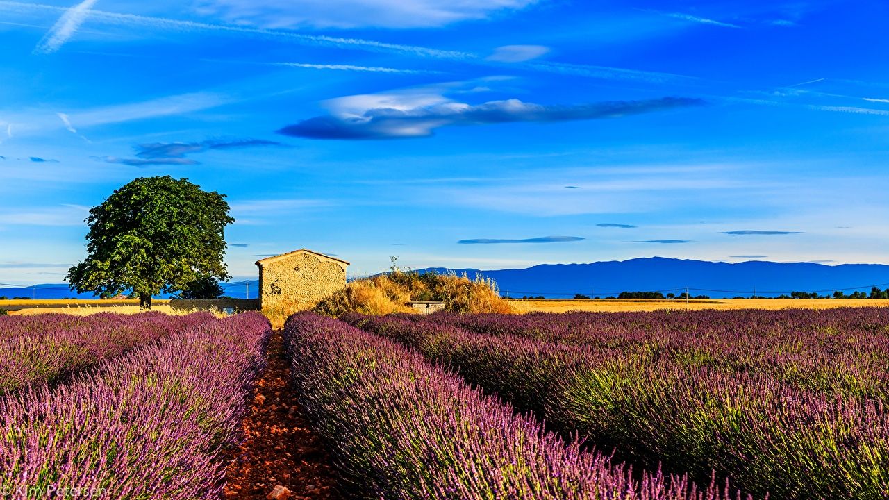French Landscape Wallpapers