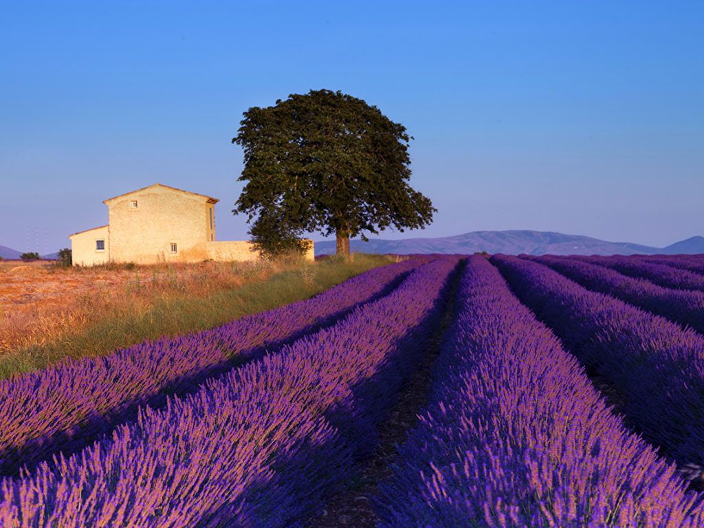 French Landscape Wallpapers