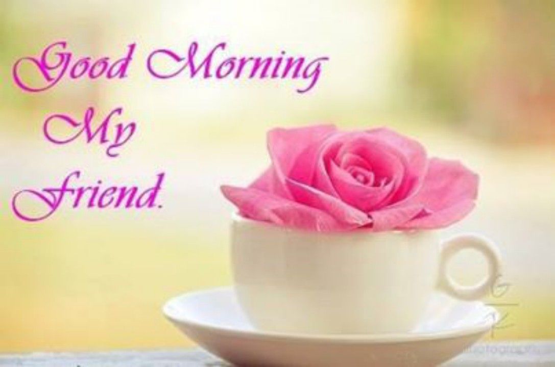 Friend Good Morning Images Wallpapers