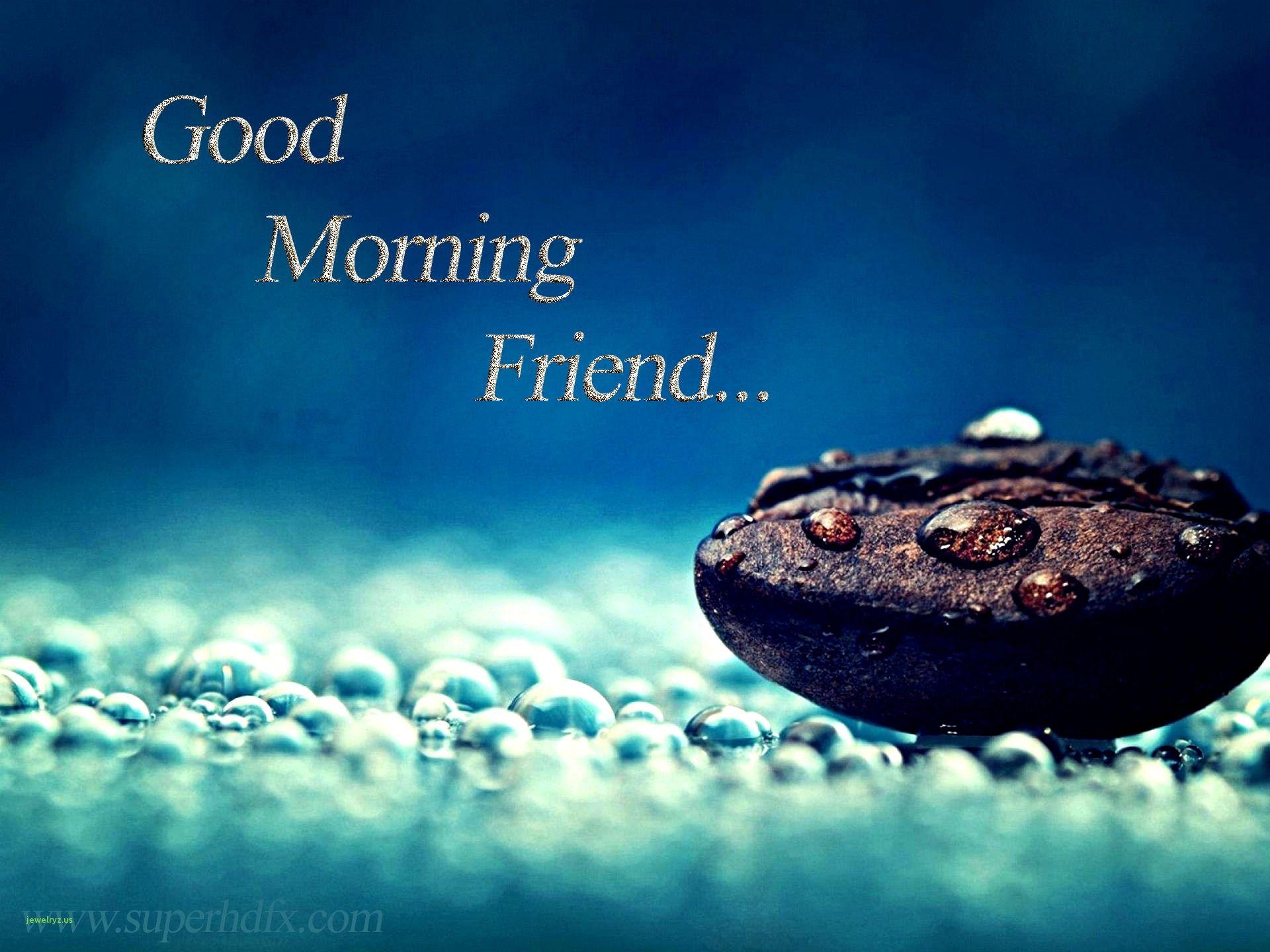 Friend Good Morning Images Wallpapers