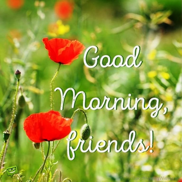 Friend Good Morning Images Wallpapers