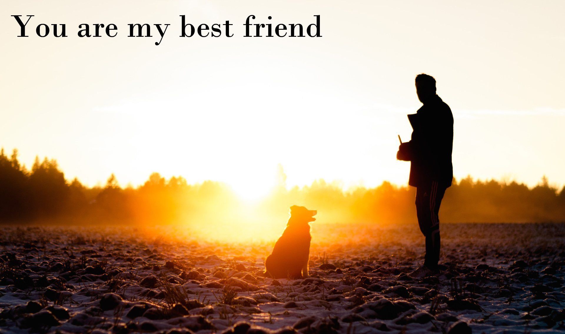 Friendship Quote Images Free Download Wallpapers