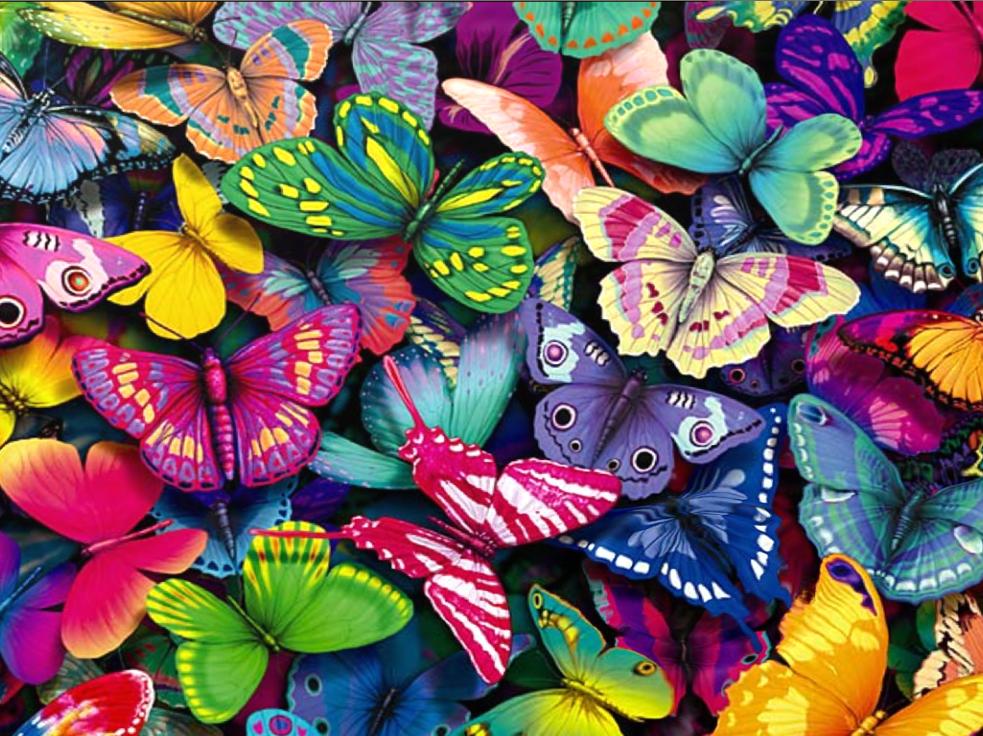 Fringe Butterfly Wallpapers