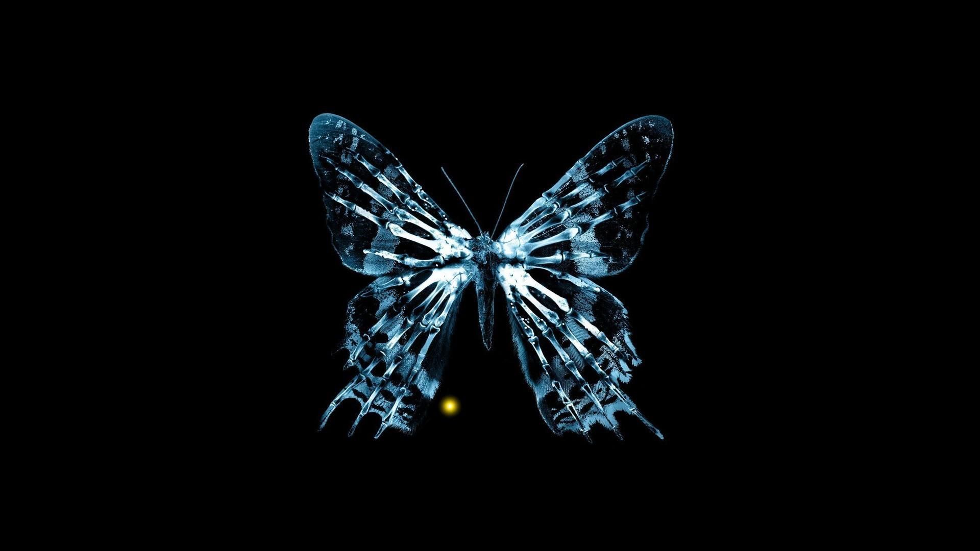 Fringe Butterfly Wallpapers