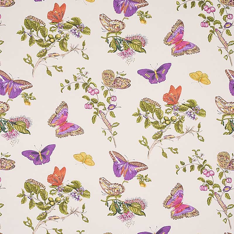 Fringe Butterfly Wallpapers