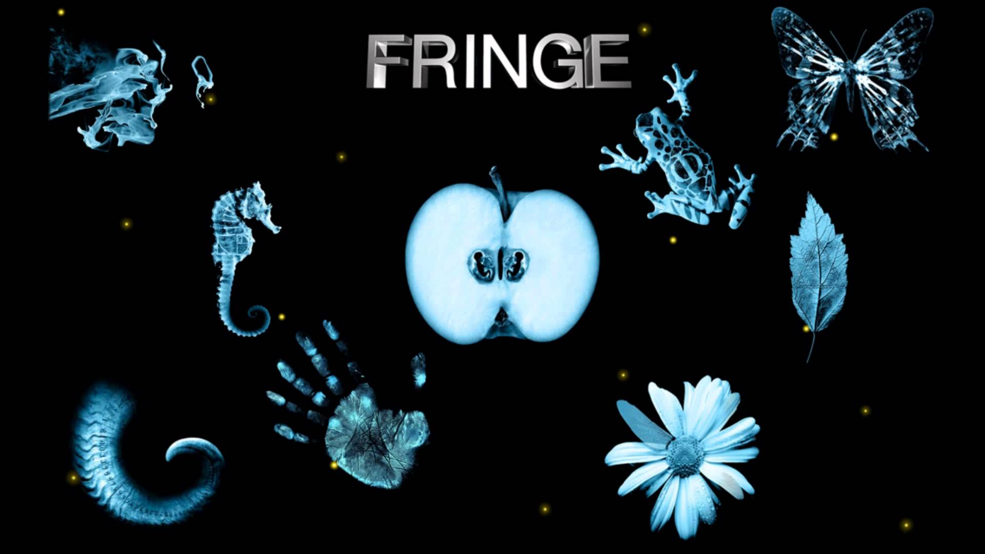 Fringe Butterfly Wallpapers