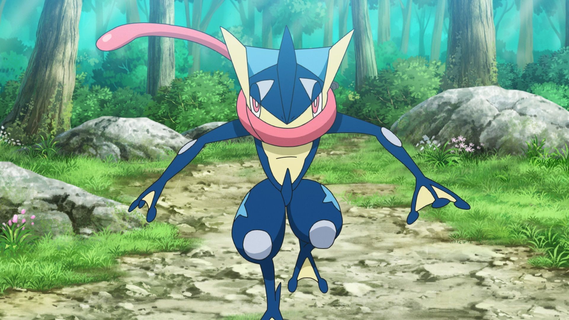 Frogadier Hd Wallpapers