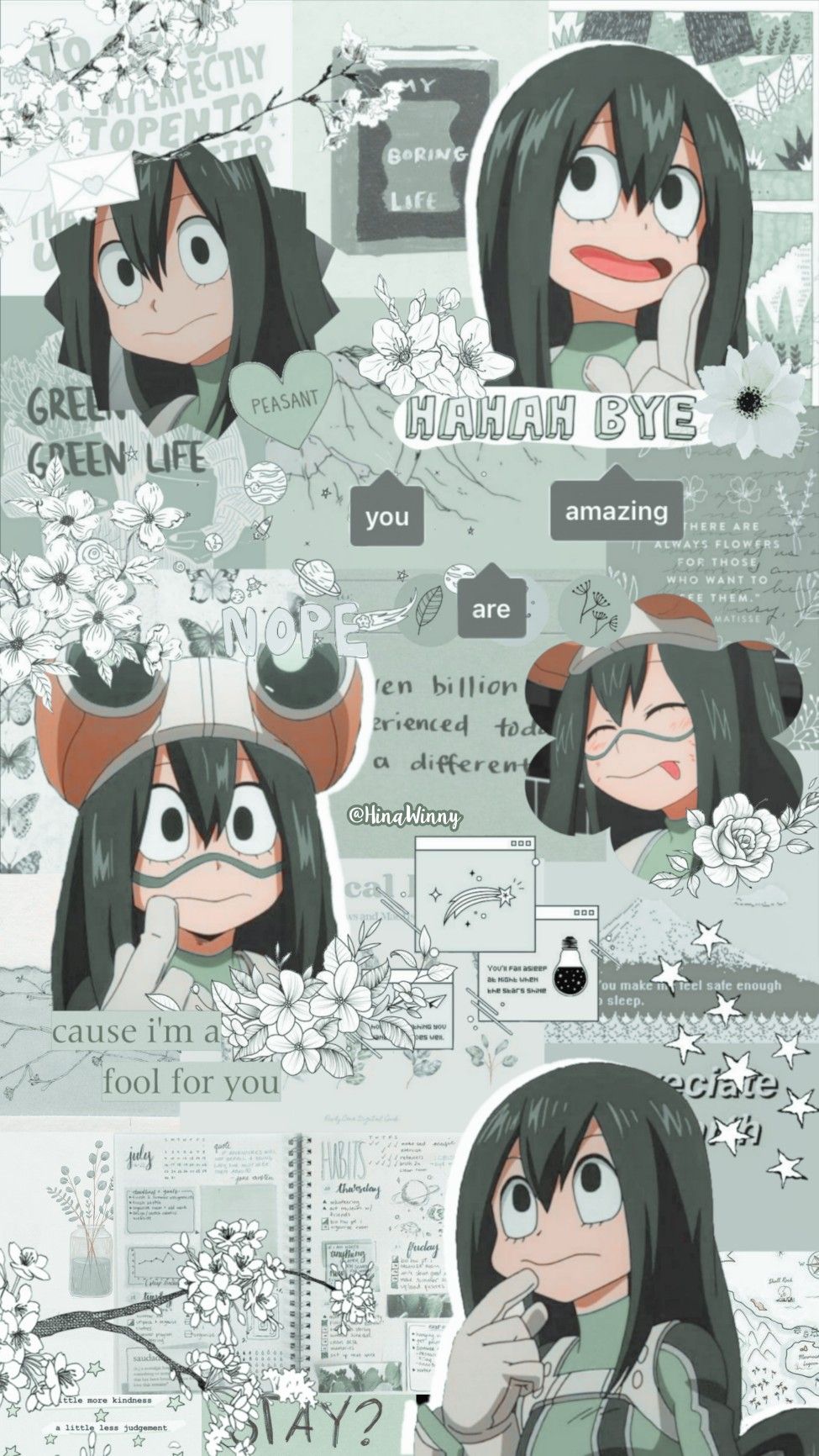 Froppy Aesthetic Wallpapers