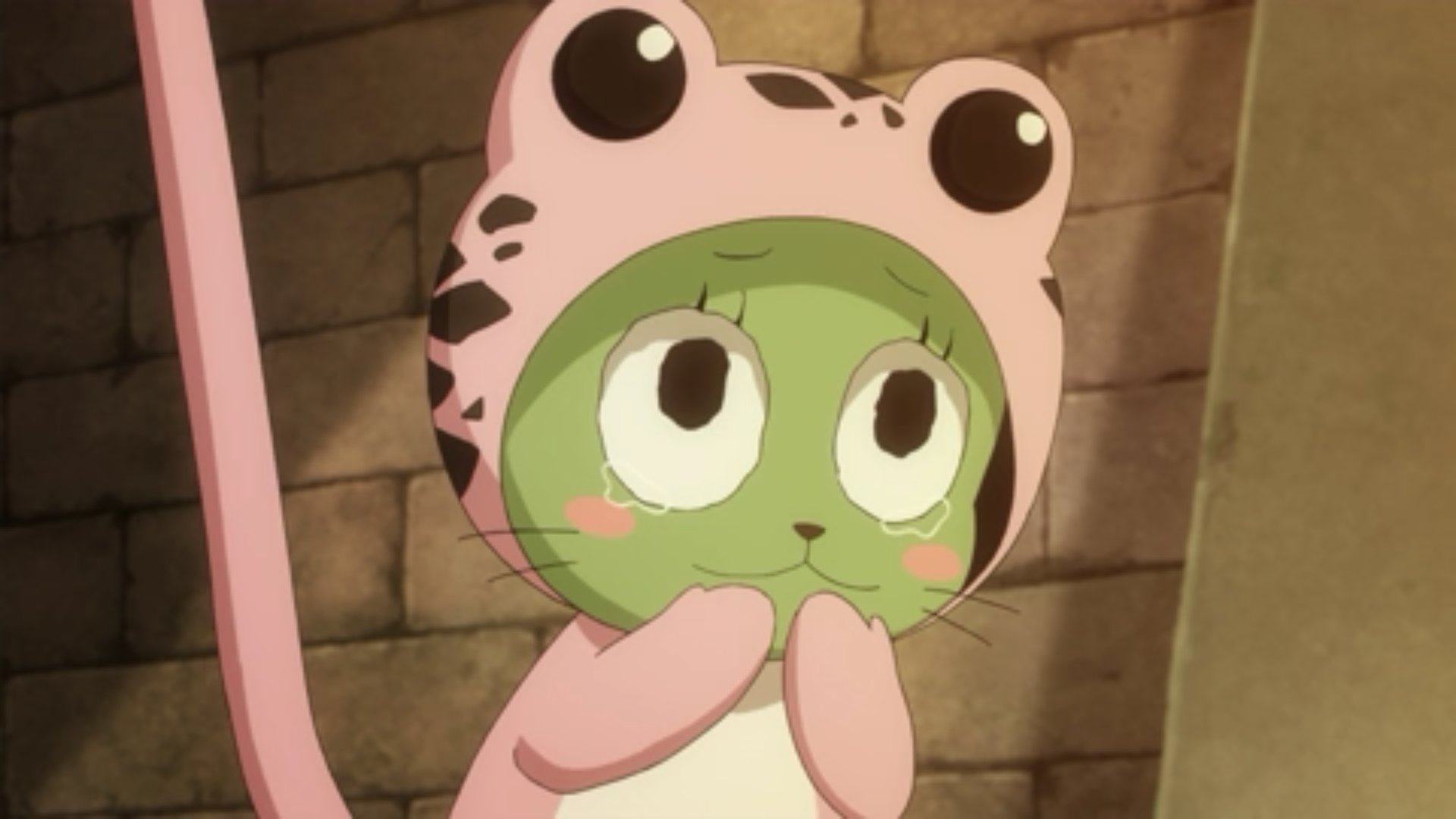 Frosch Fairy Tail Wallpapers