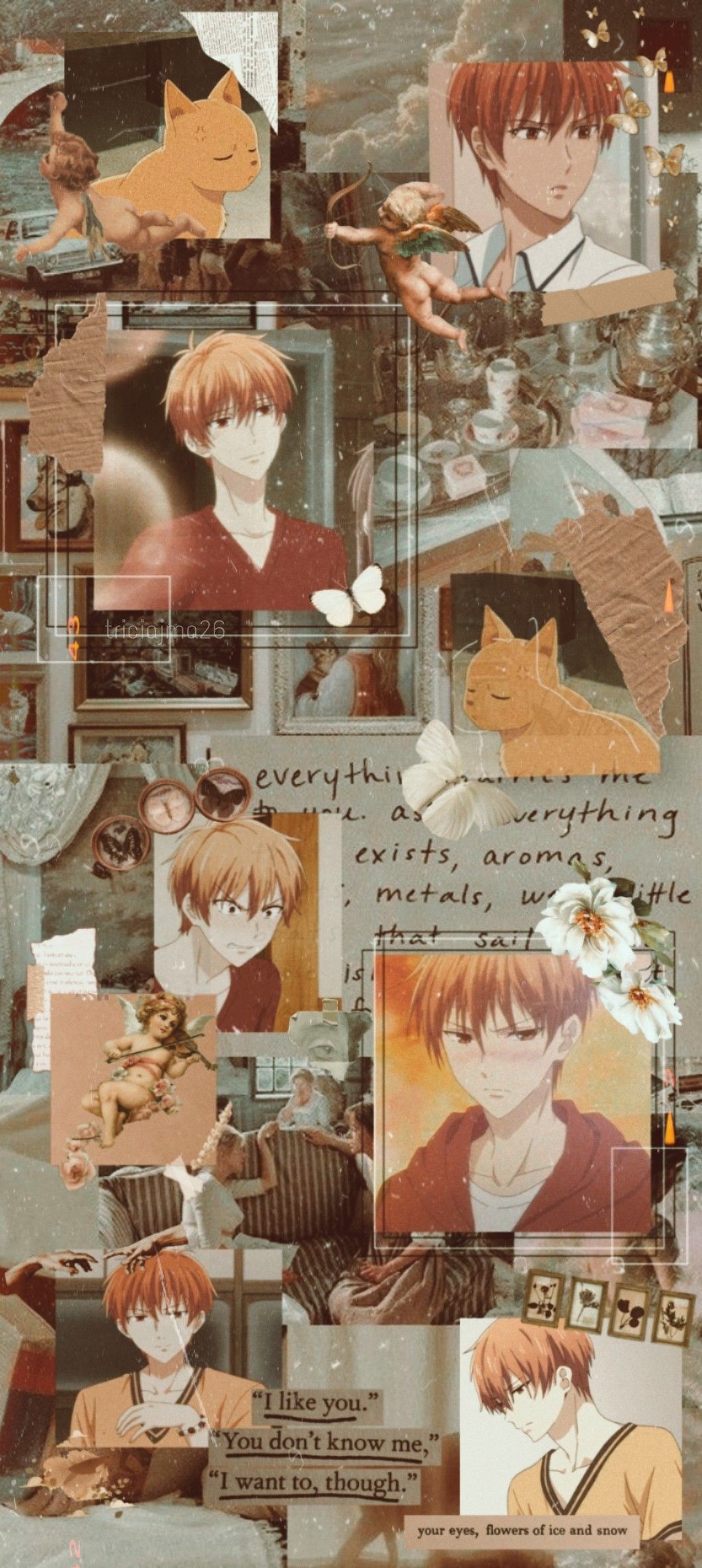 Fruits Basket Iphone Wallpapers