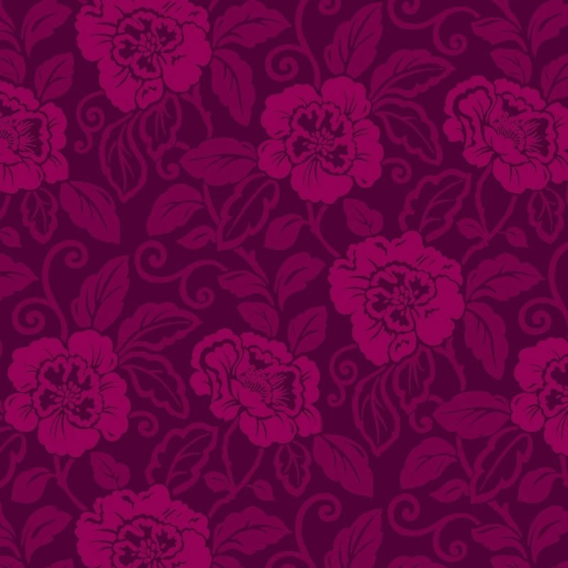 Fuchsia Wallpapers