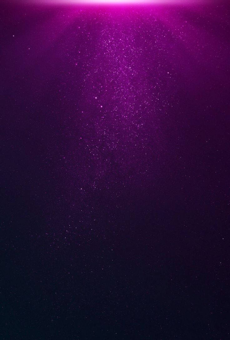 Fuchsia Wallpapers