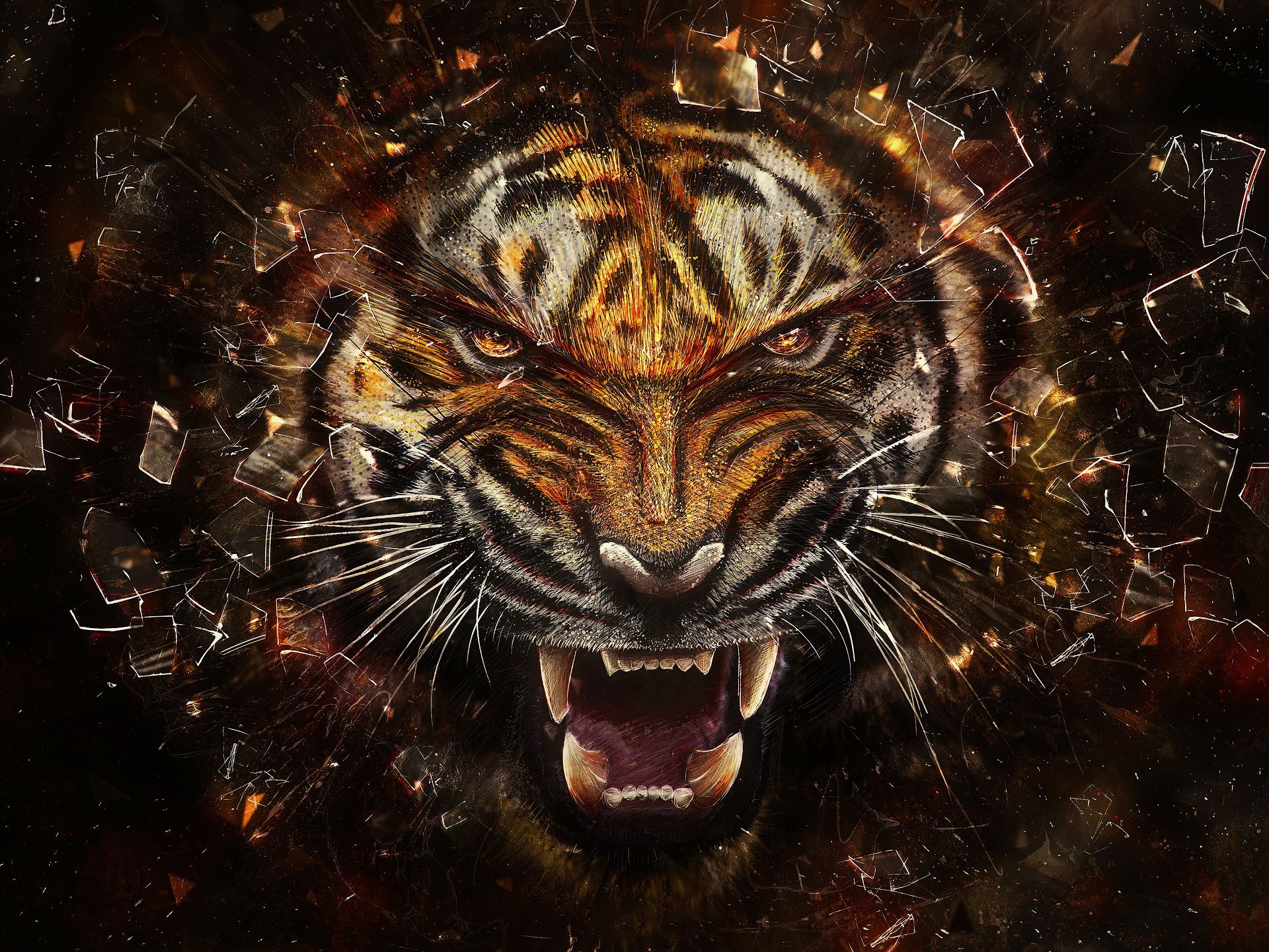 Full Hd Tiger 3D Wallpapers