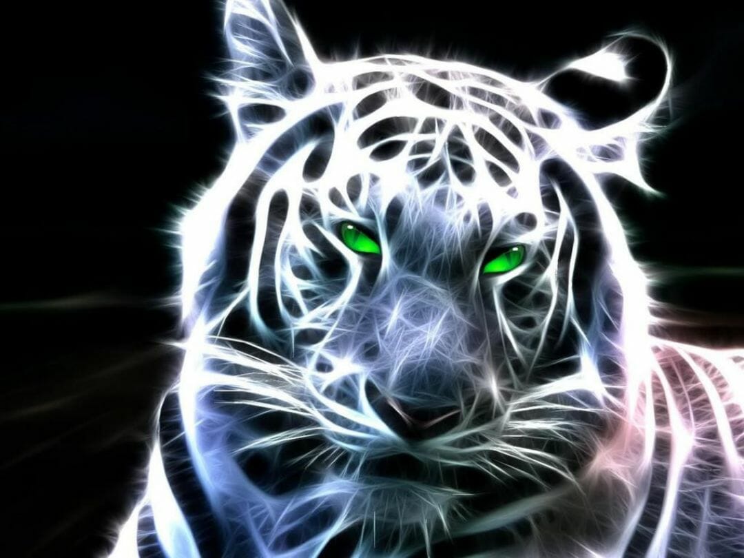 Full Hd Tiger 3D Wallpapers