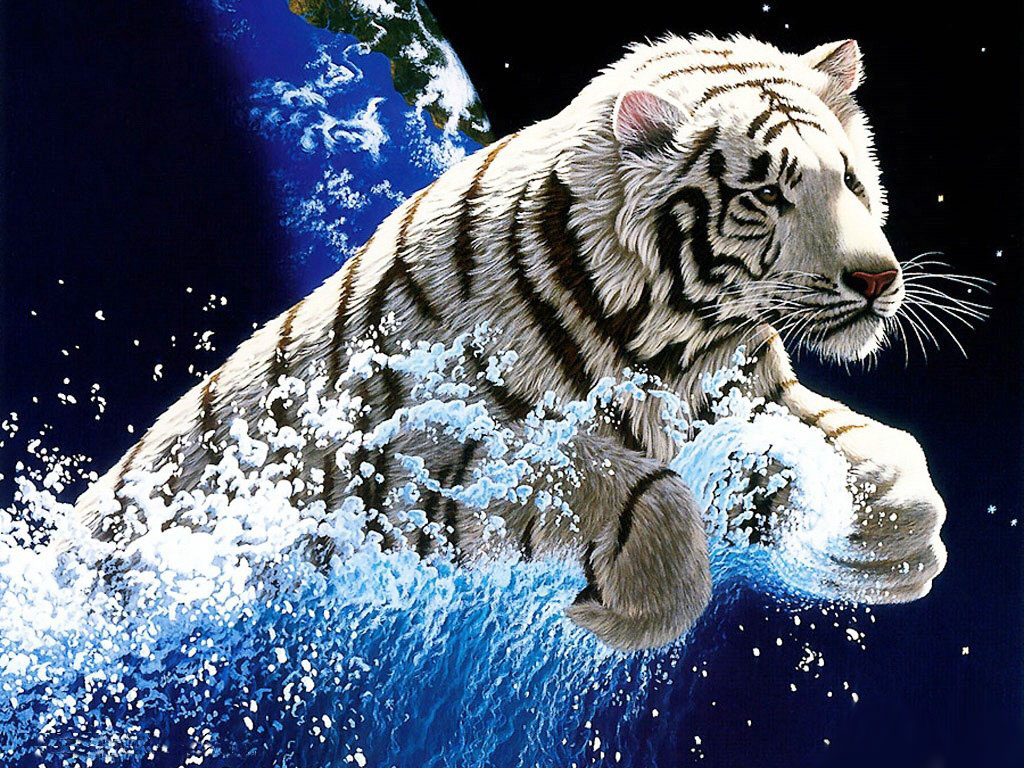 Full Hd Tiger 3D Wallpapers