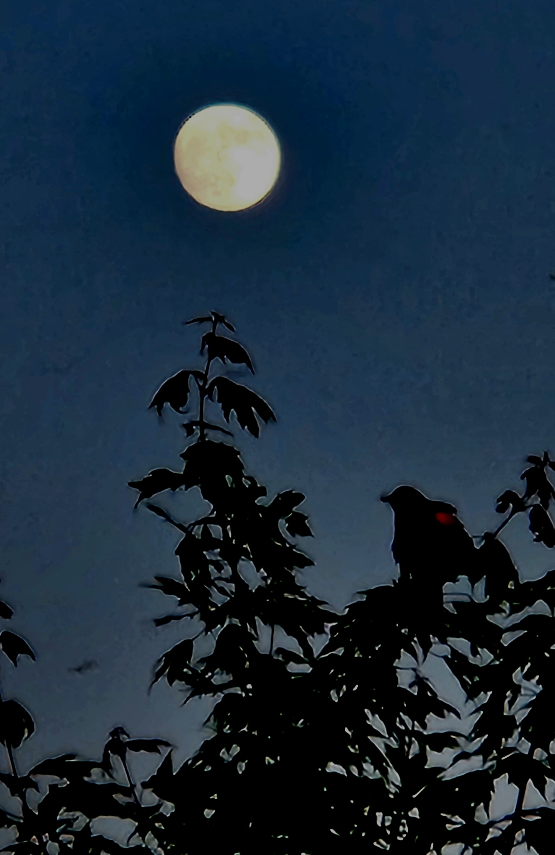 Full Moon Evening In Adam'S Peak Wallpapers