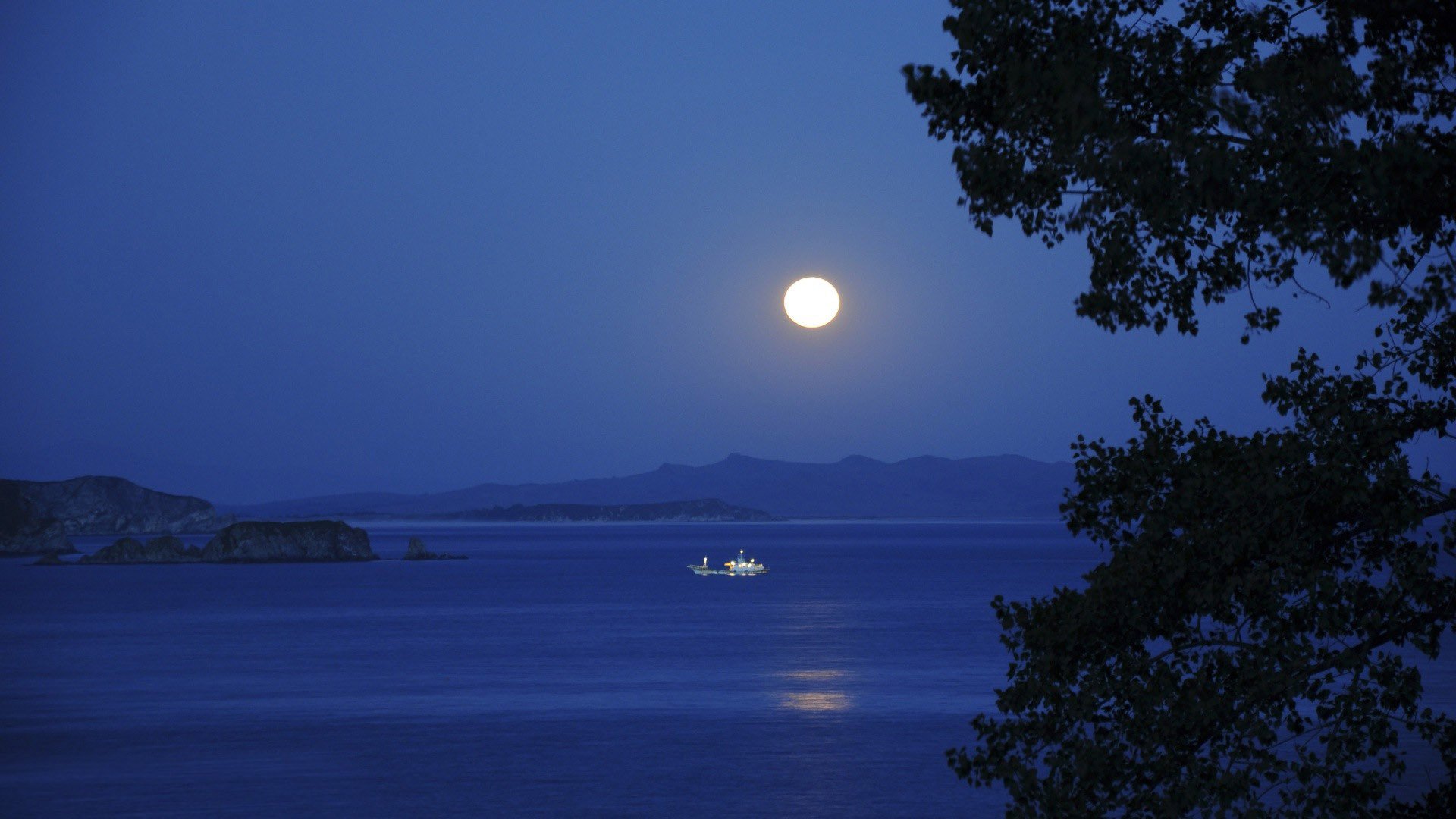 Full Moon Night Near Lake Wallpapers