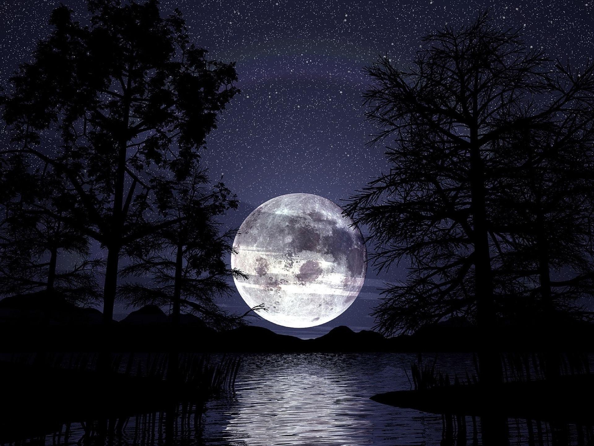 Full Moon Night Near Lake Wallpapers