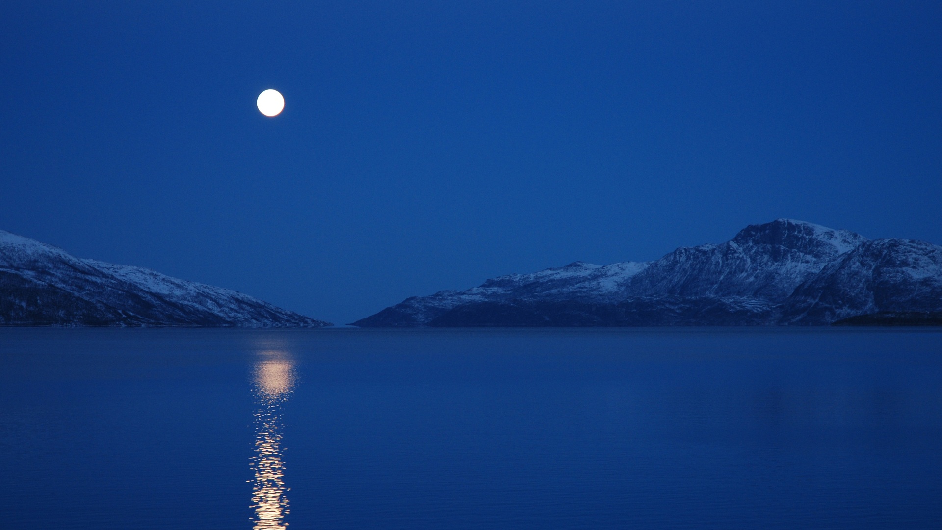 Full Moon Night Near Lake Wallpapers