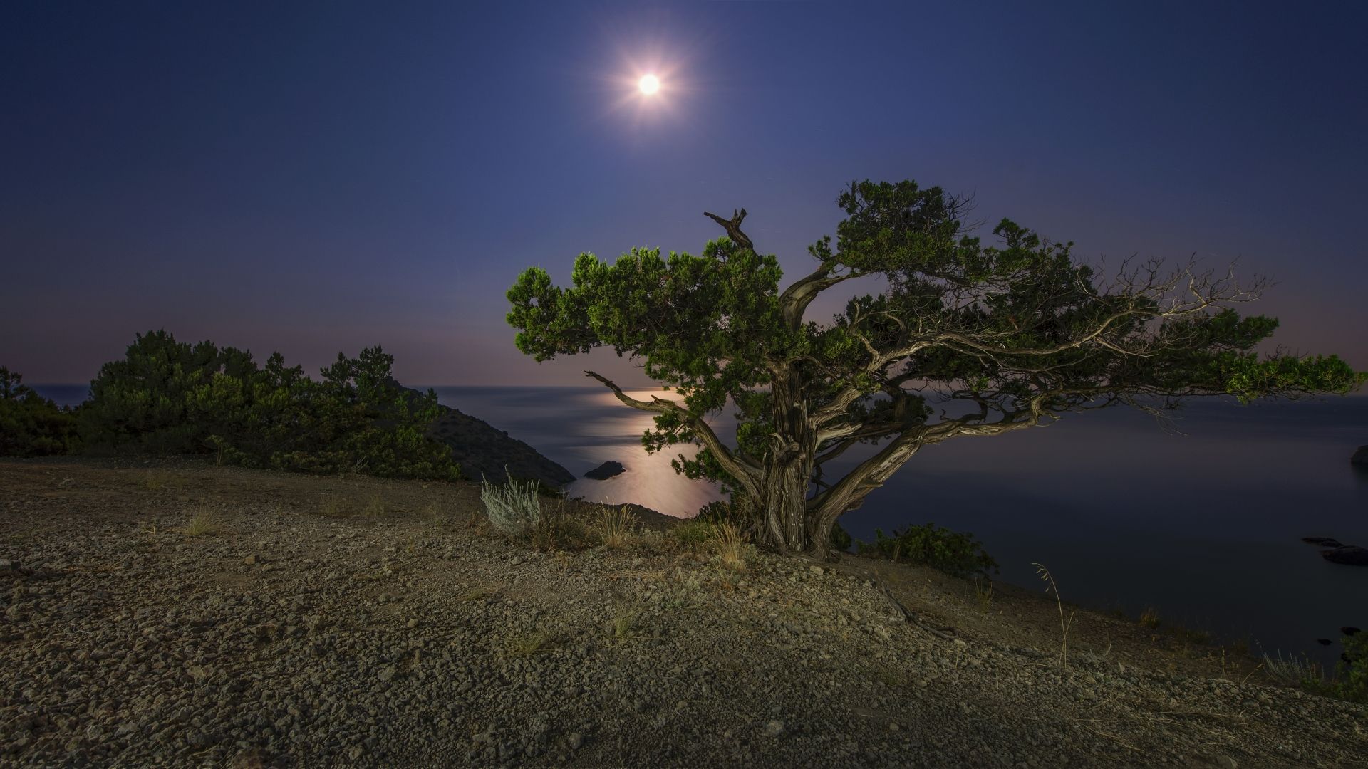 Full Moon Night Near Lake Wallpapers