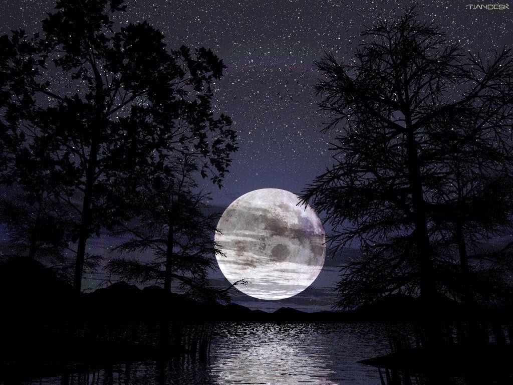 Full Moon Night Near Lake Wallpapers