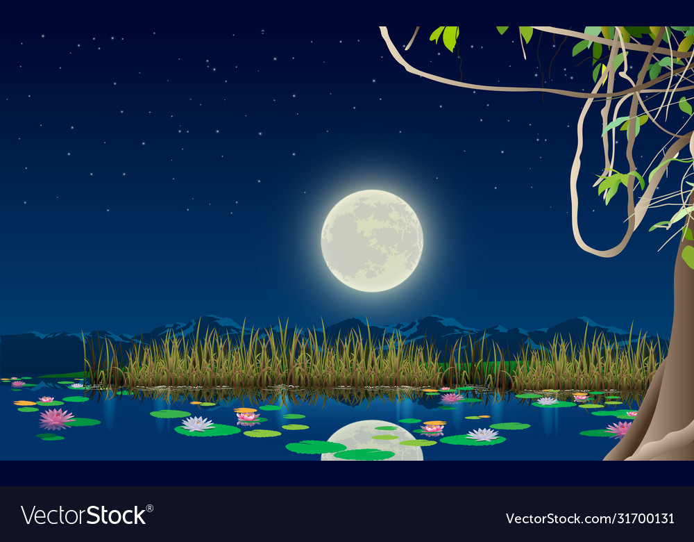 Full Moon Night Near Lake Wallpapers