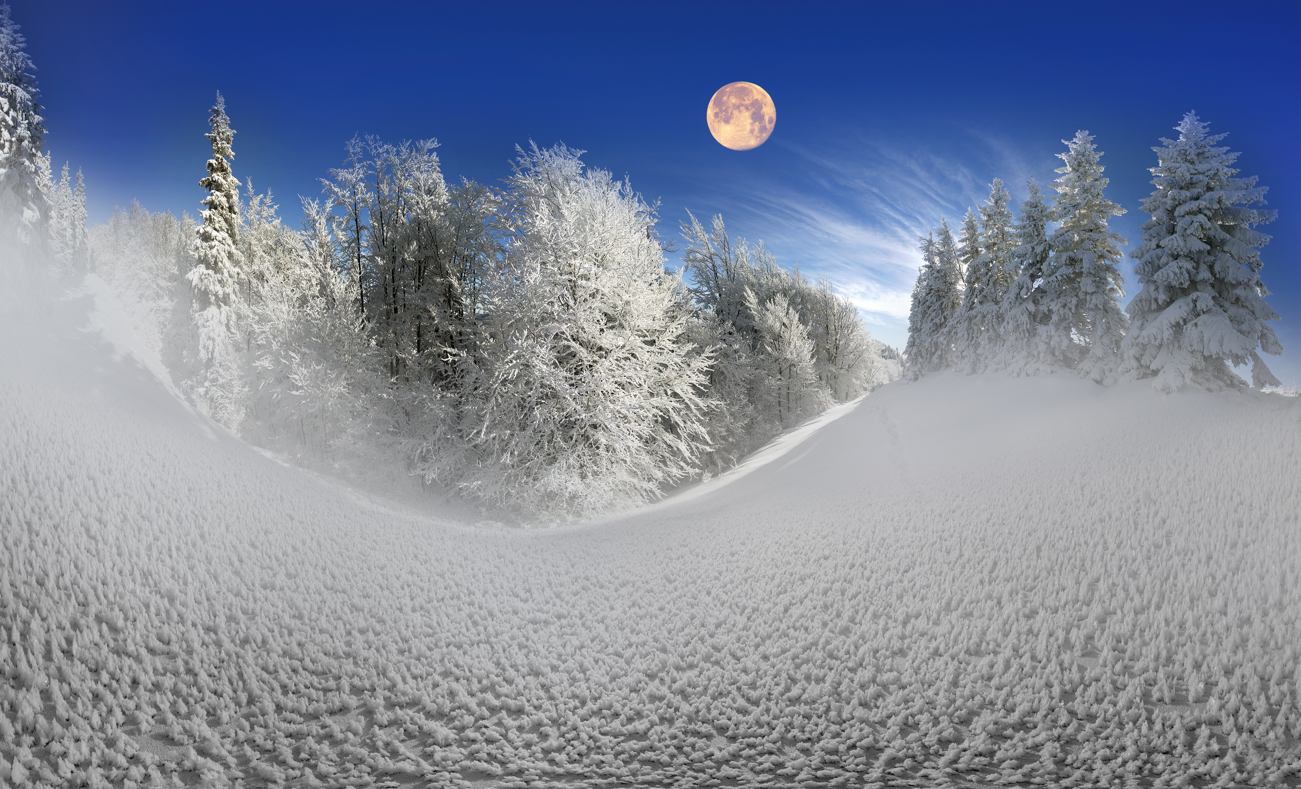 Full Moon Over Winter Forest Wallpapers