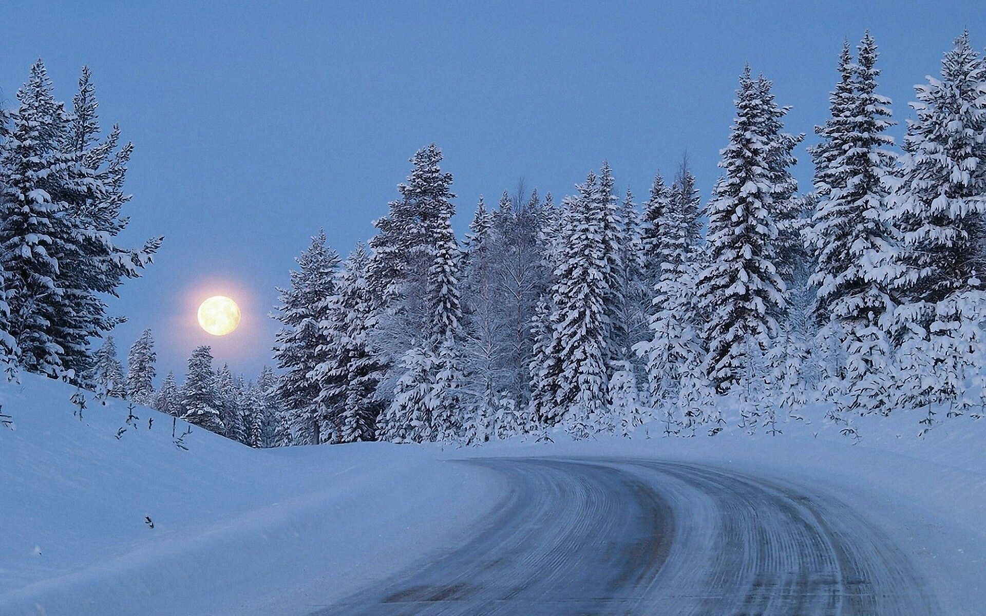 Full Moon Over Winter Forest Wallpapers