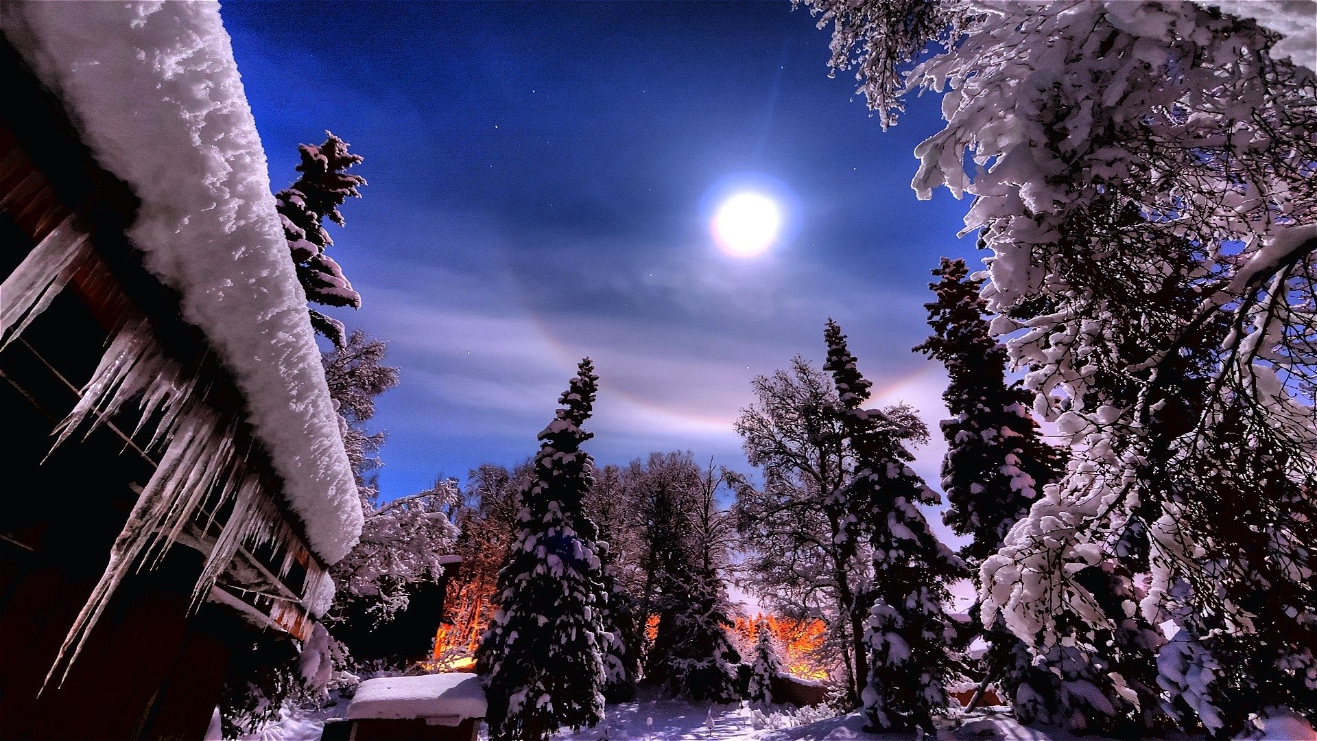 Full Moon Over Winter Forest Wallpapers