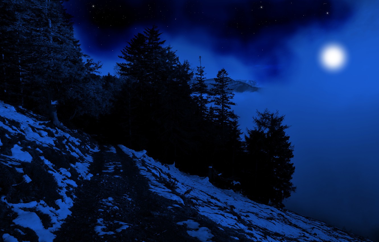 Full Moon Over Winter Forest Wallpapers