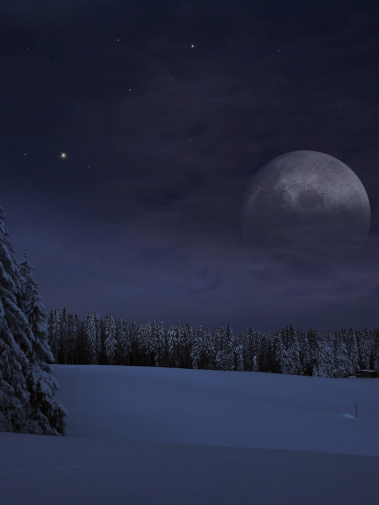 Full Moon Over Winter Forest Wallpapers