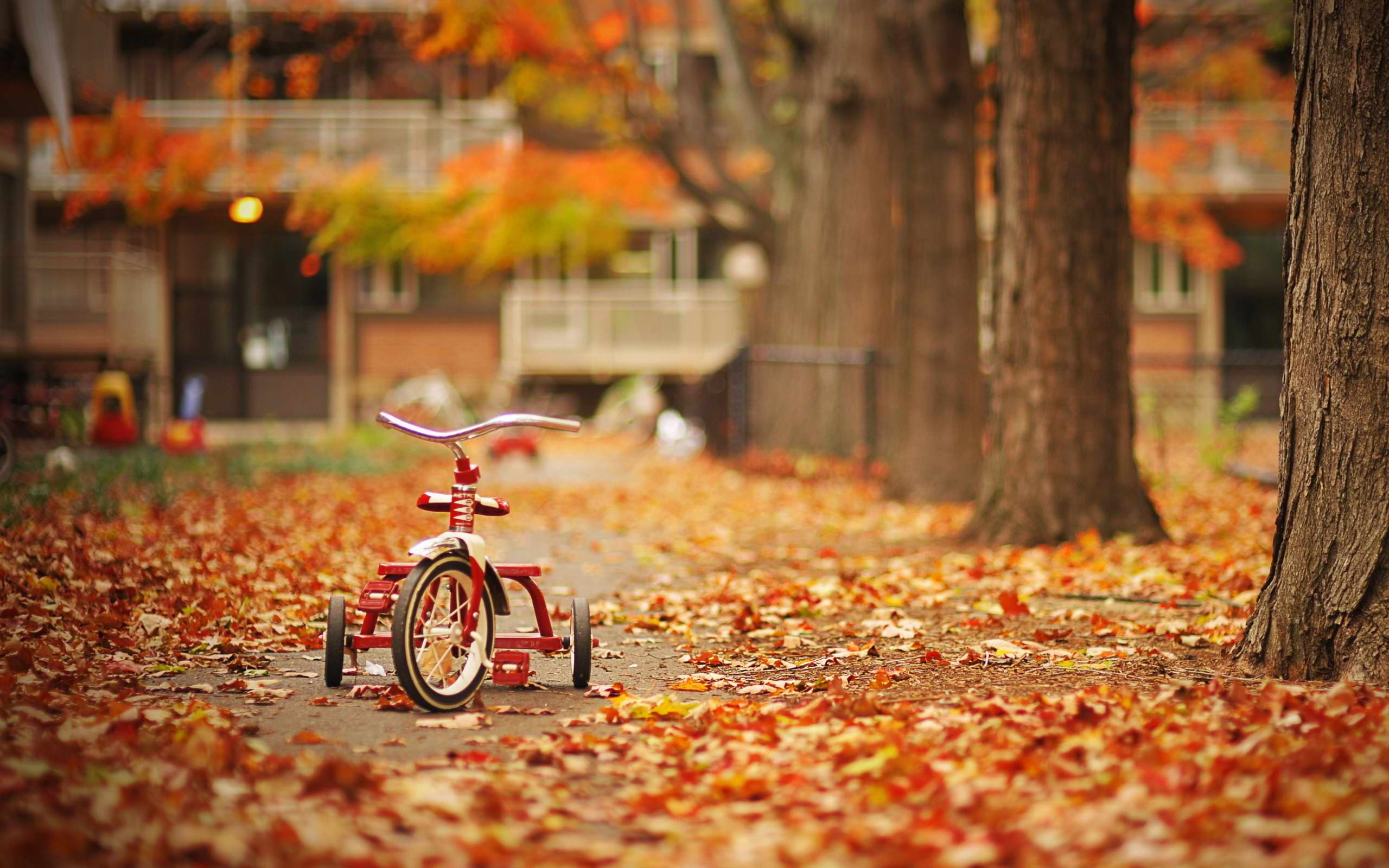 Fun Fall Backgrounds