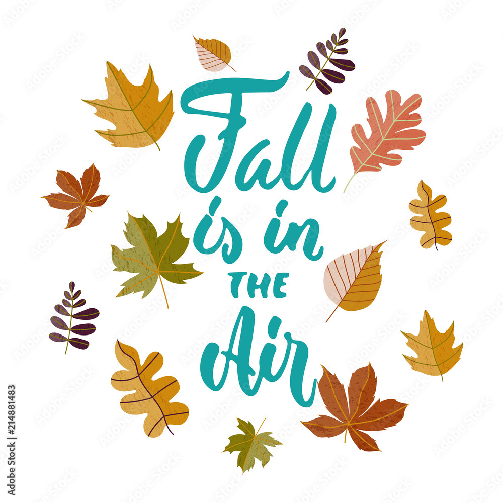 Fun Fall Backgrounds