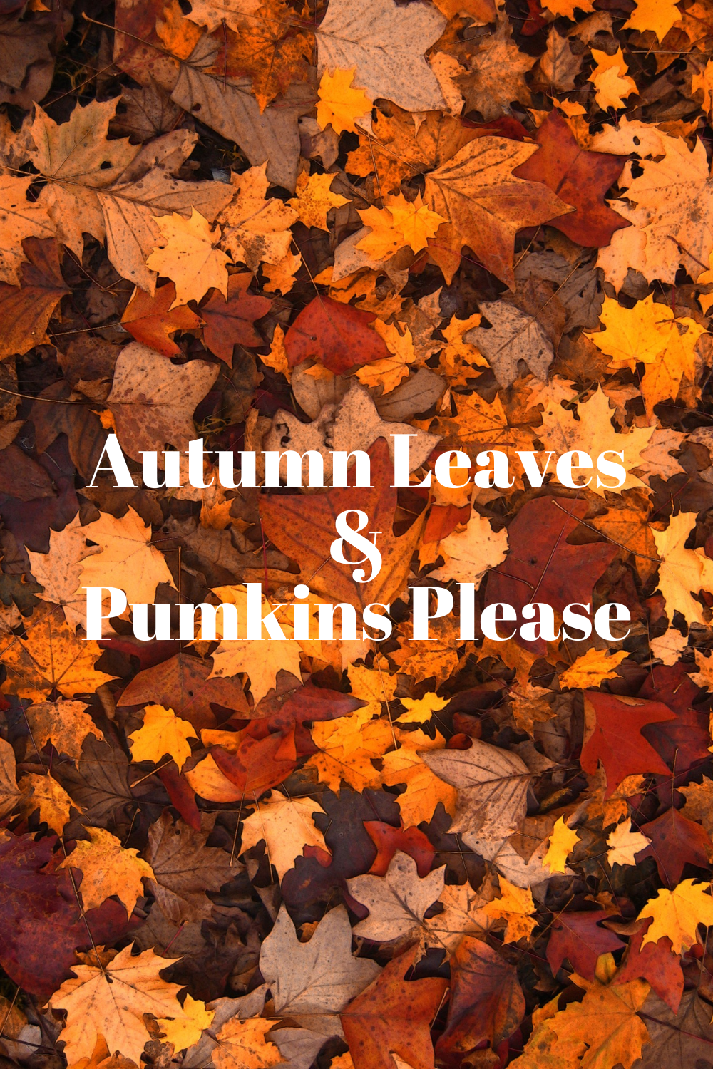 Fun Fall Backgrounds