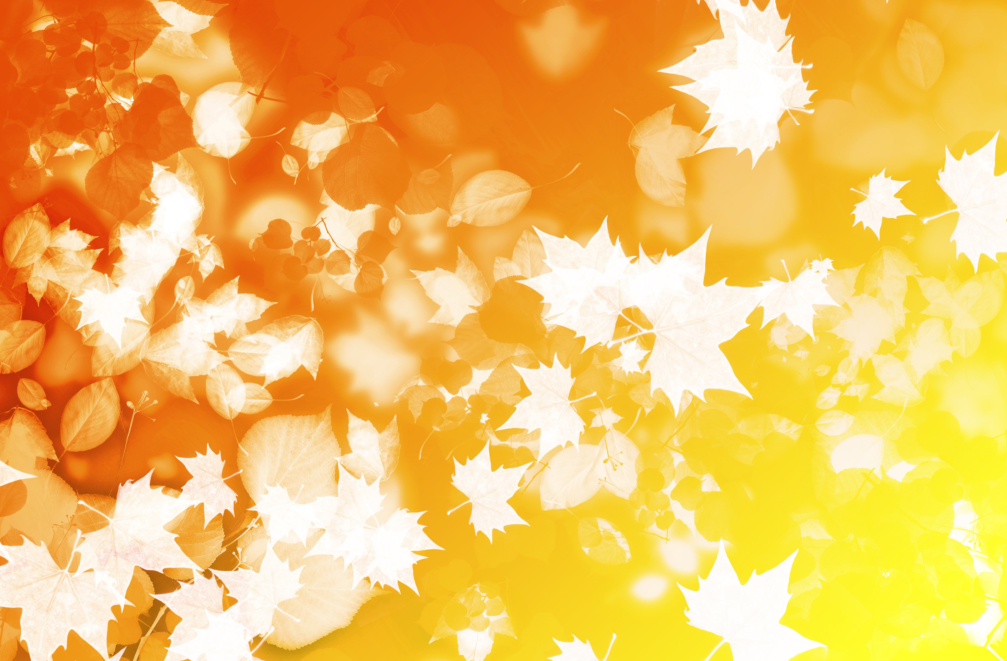 Fun Fall Backgrounds