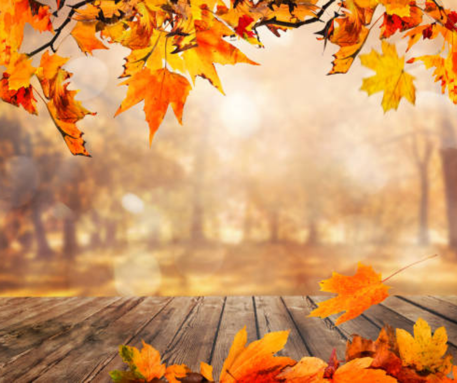 Fun Fall Backgrounds