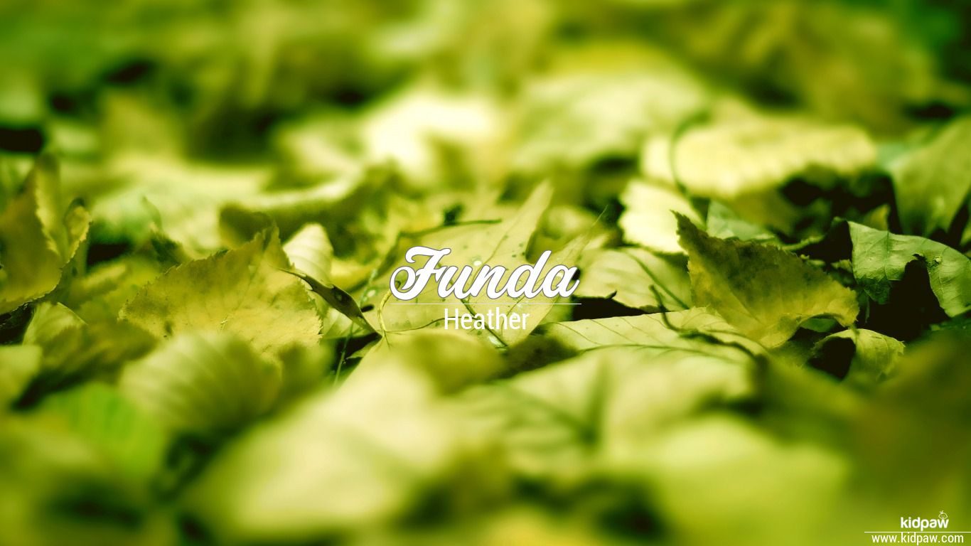 Funda Arar Wallpapers