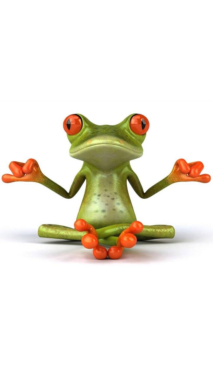 Funny Frogs Wallpapers