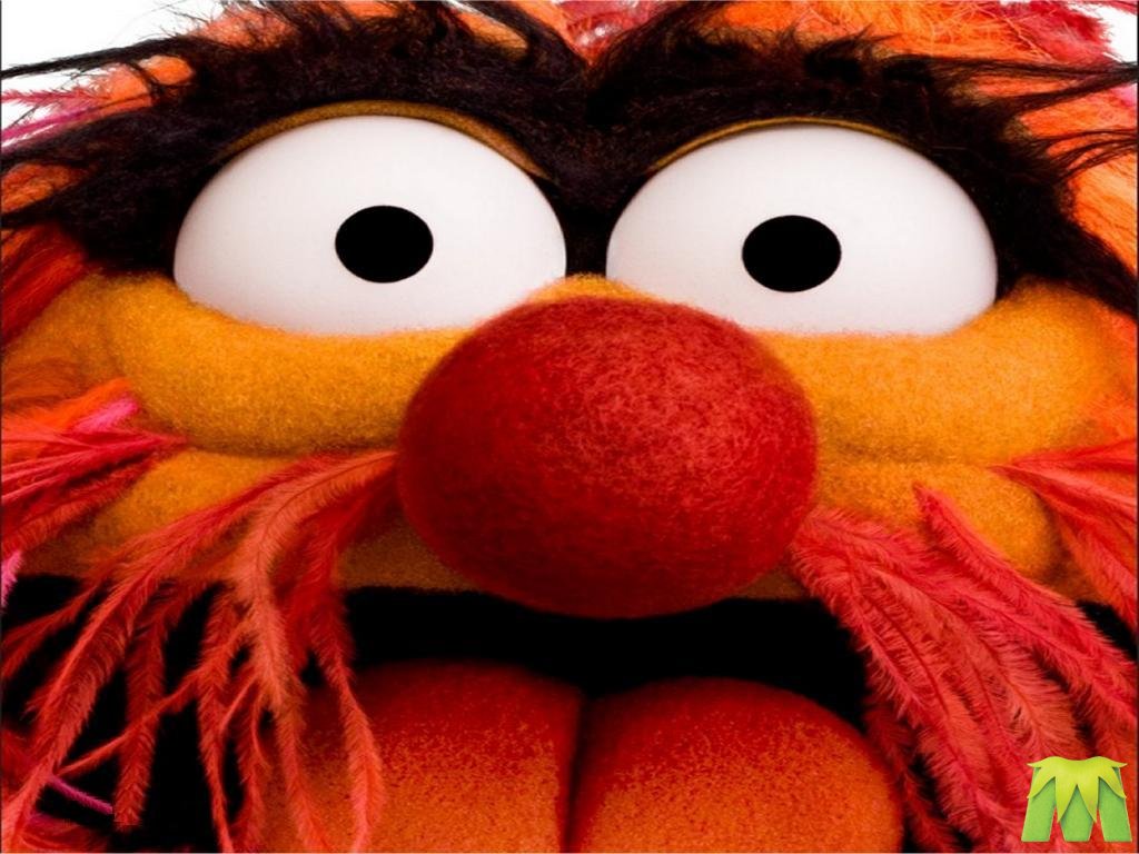 Funny Muppet Pics Wallpapers