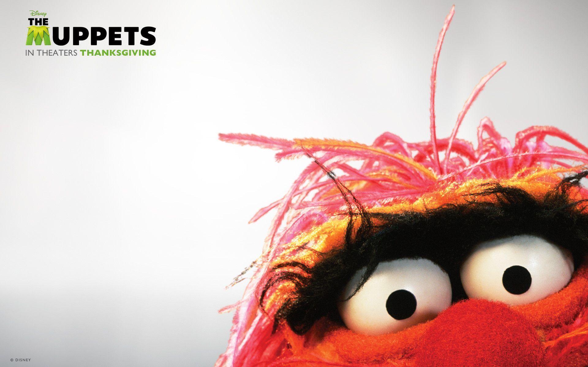 Funny Muppet Pics Wallpapers