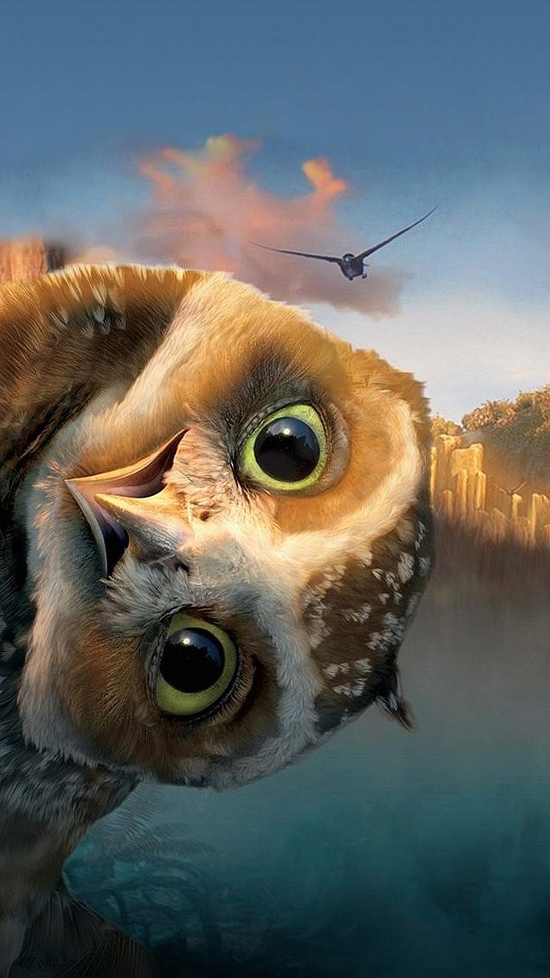 Funny Owl Pictures Wallpapers