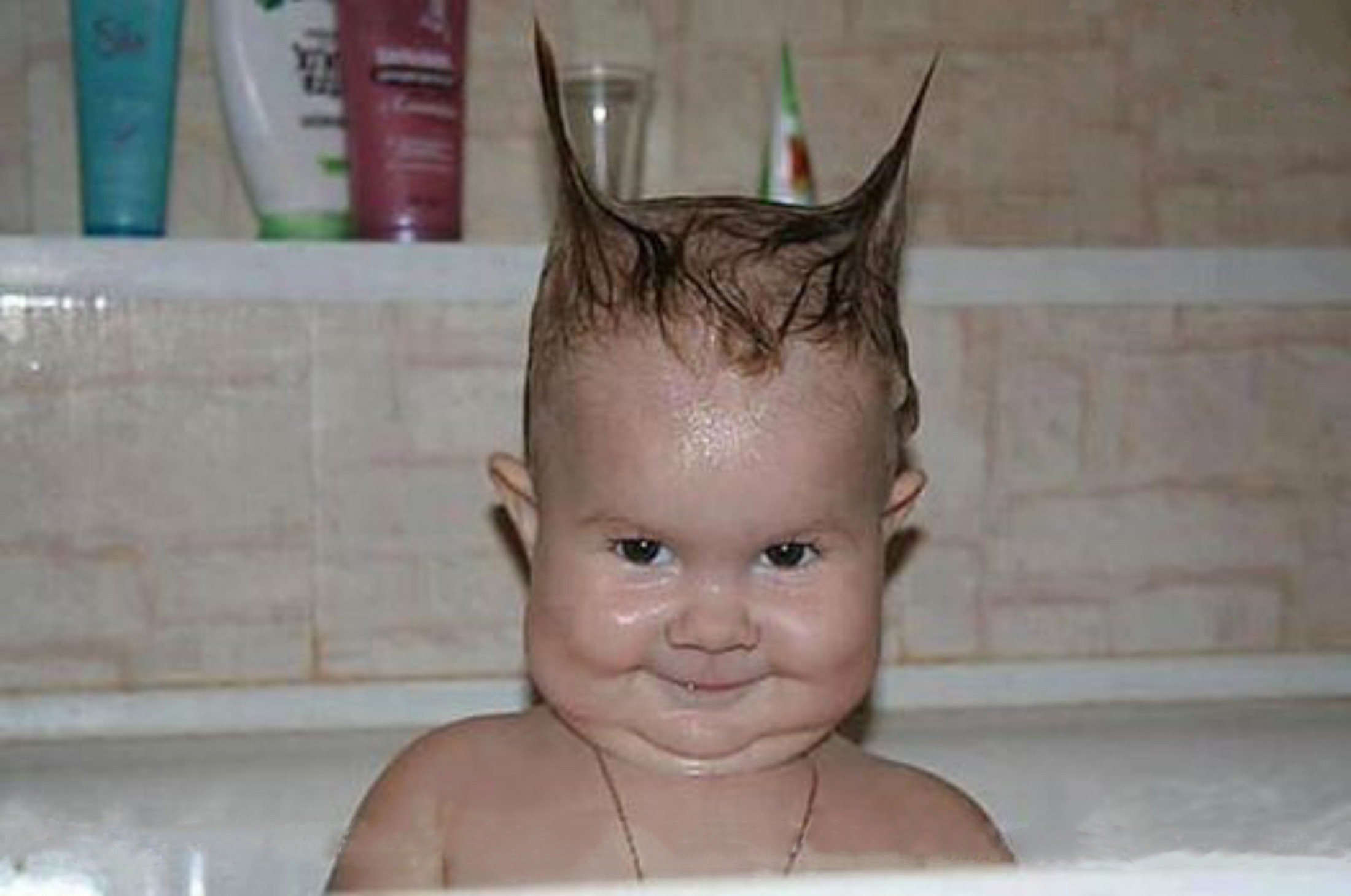 Funny Pictures Babys Wallpapers