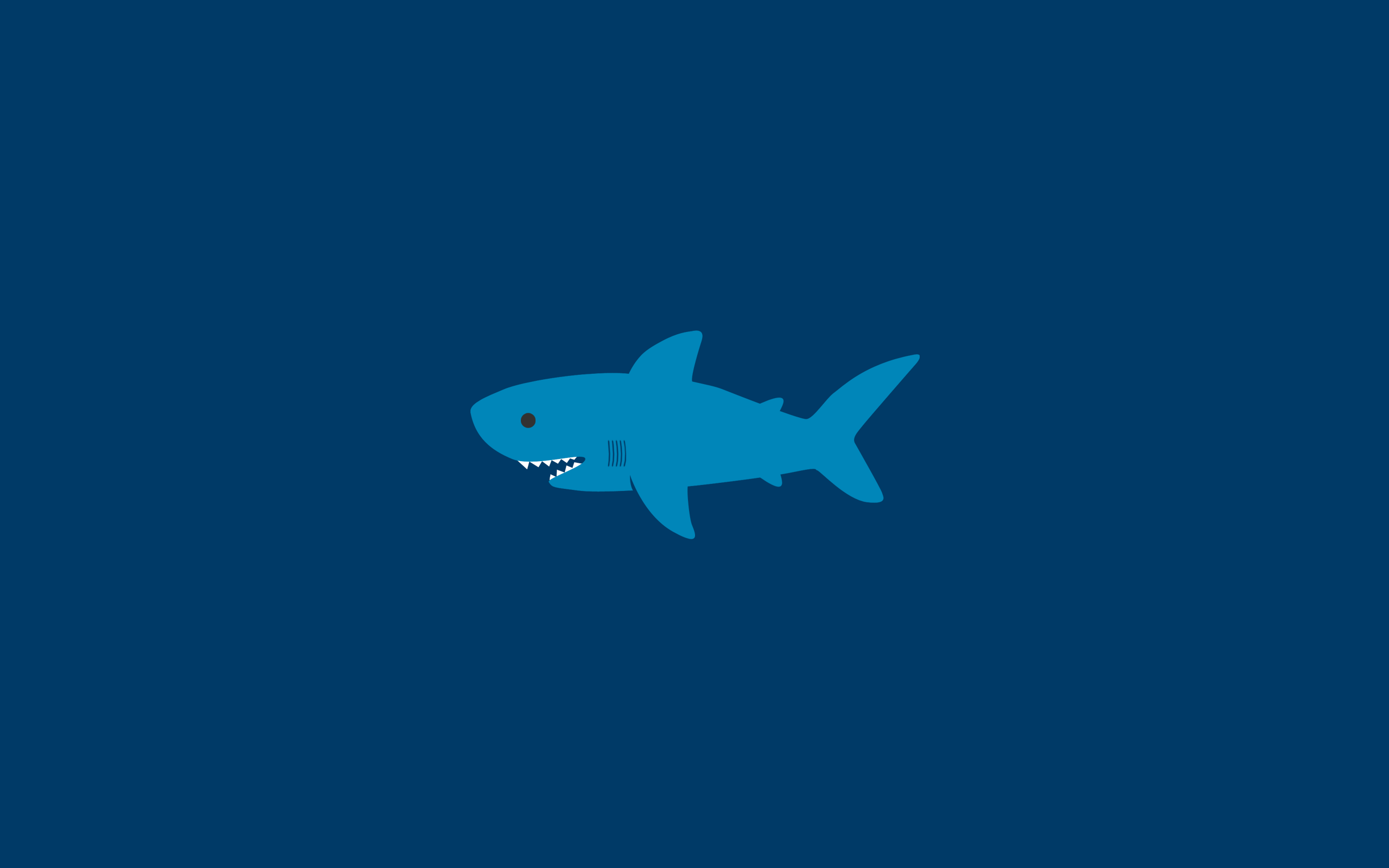 Funny Shark Wallpapers