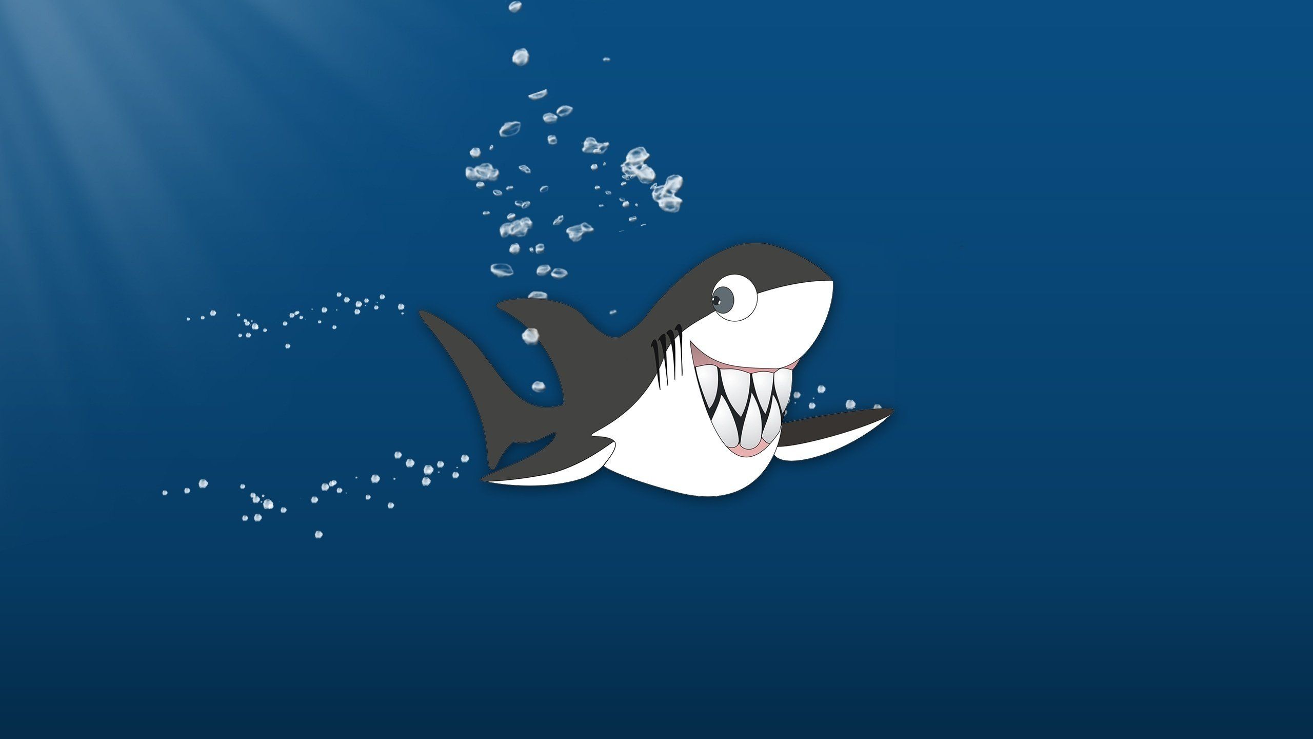 Funny Shark Wallpapers