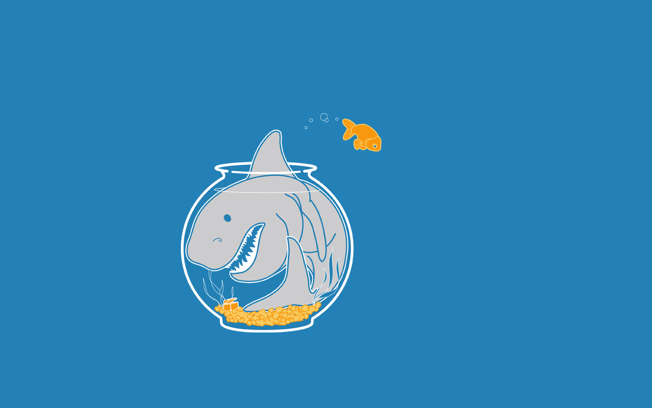 Funny Shark Wallpapers