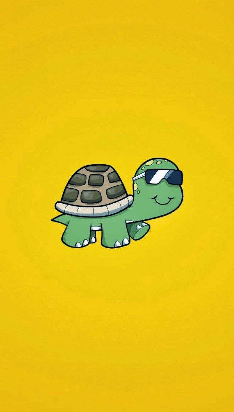 Funny Turtle Wallpapers