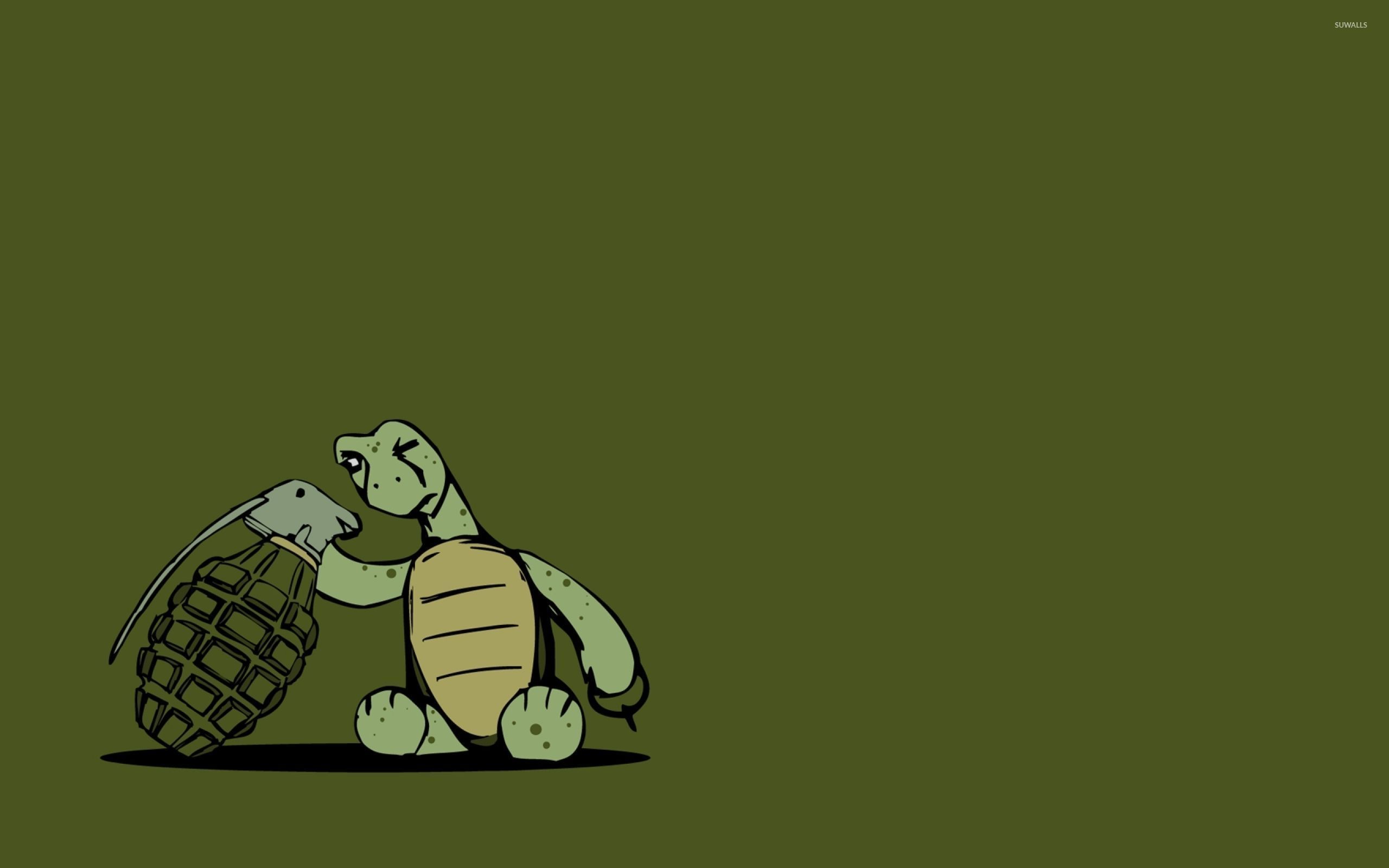 Funny Turtle Wallpapers